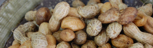 191001-2.blog.jpg