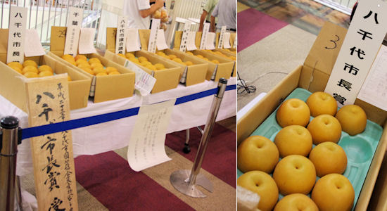 230914-9.blog.jpg